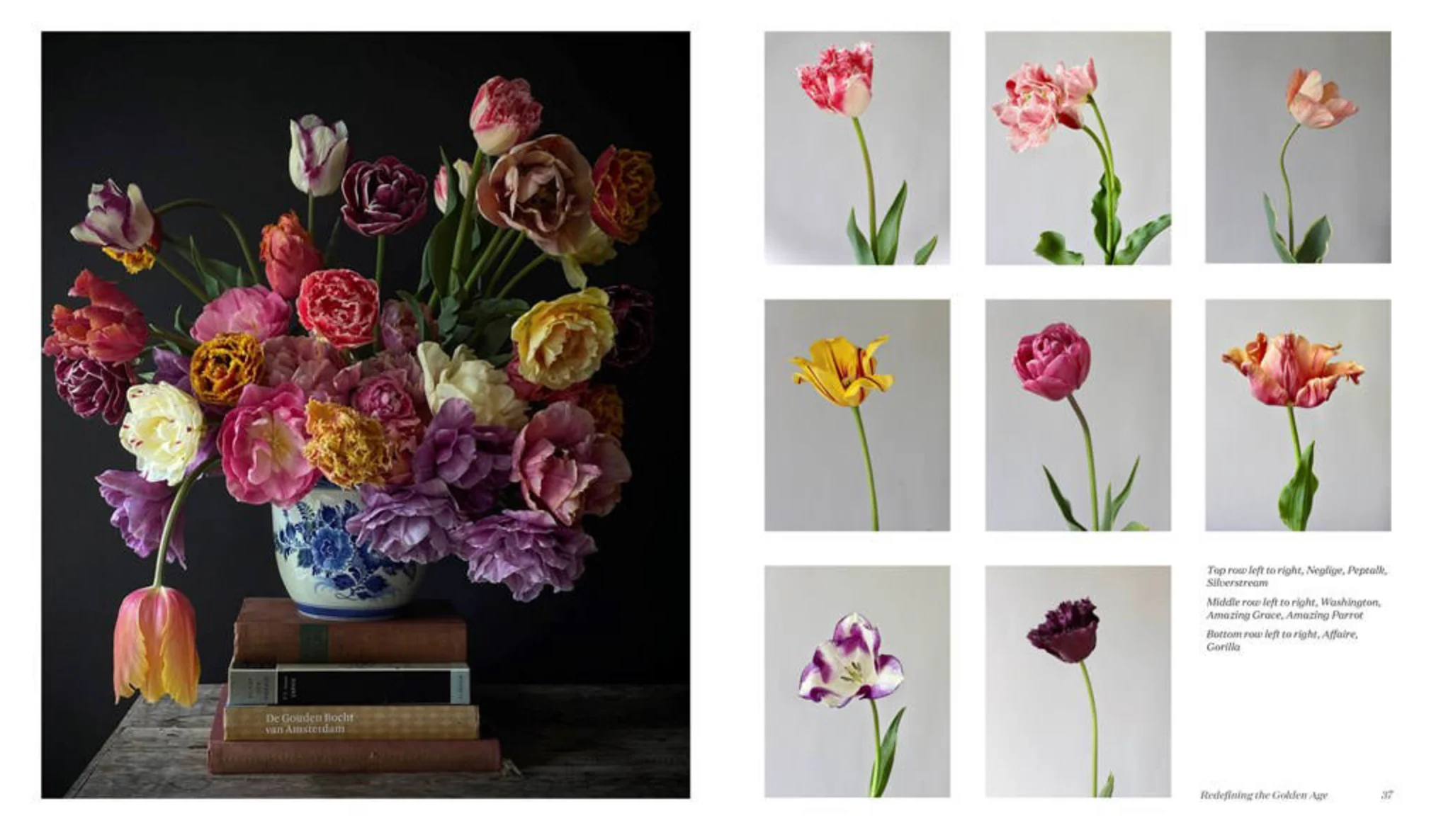 A Sweet Floral Life - Image 4