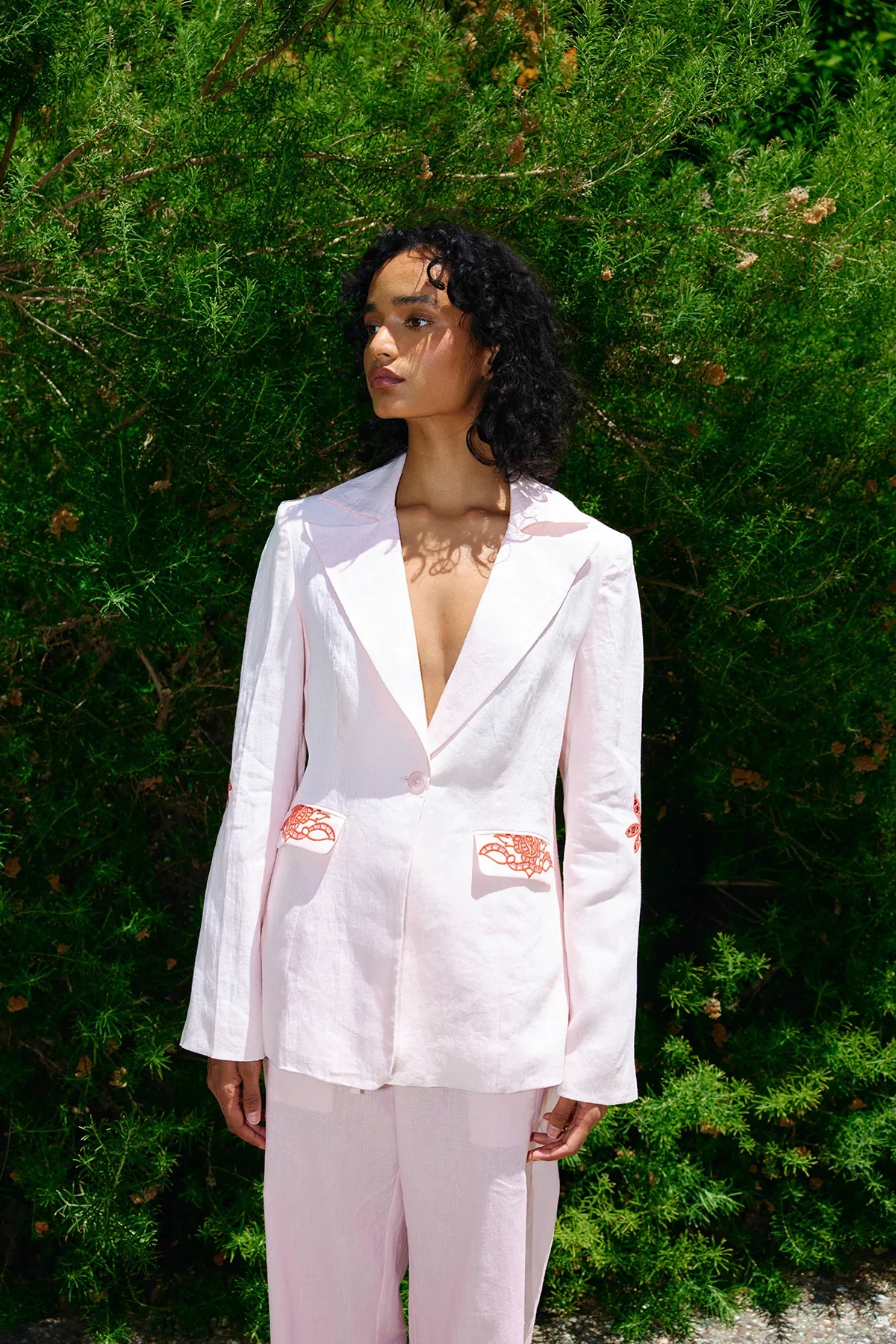 Aston Studio Ivy Blazer WAS $560
