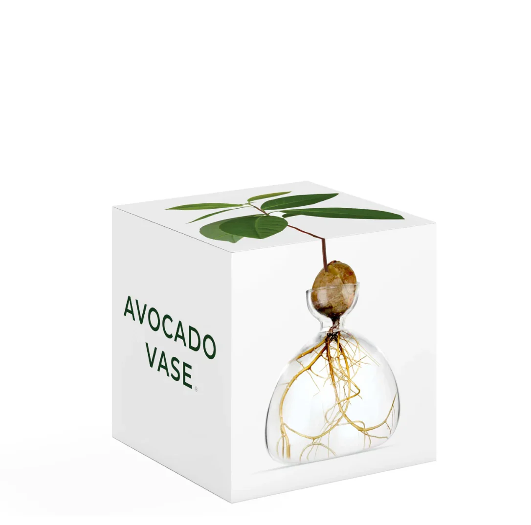 Avocado Vase - Image 6