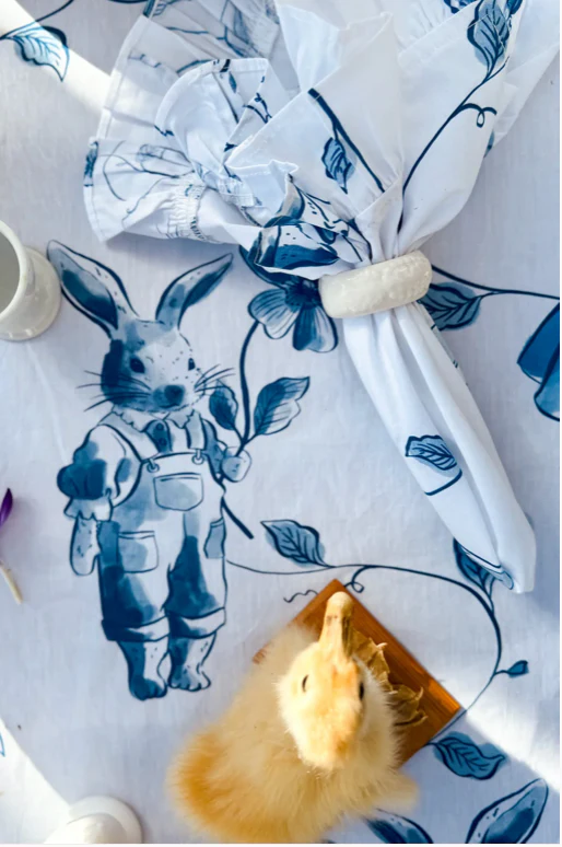 Binny Squirrel Nutkin Napkin Set WAS $99 - Image 7
