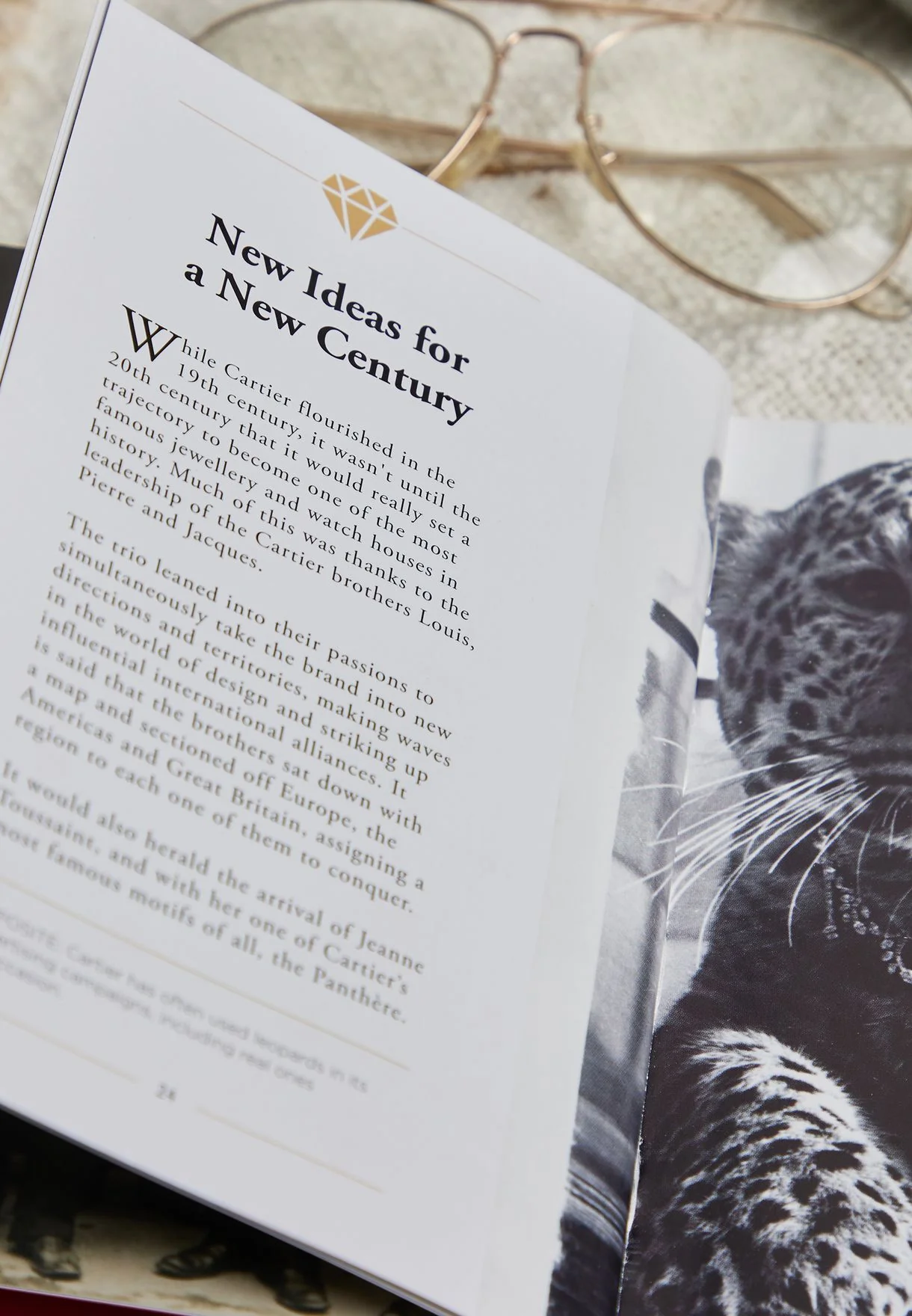 Cartier The Story Behind the Style - Image 4