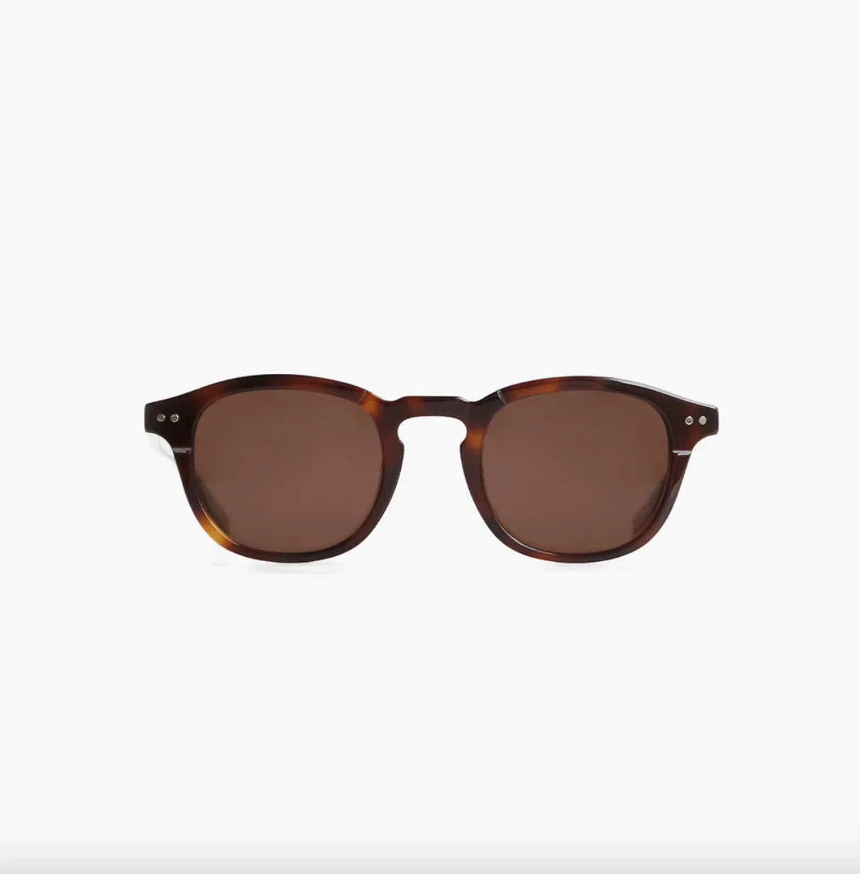 Corlin Todd Sunglasses - Image 6