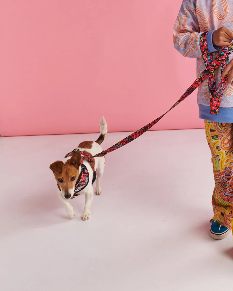 Kip & Co Dog Lead - Image 10