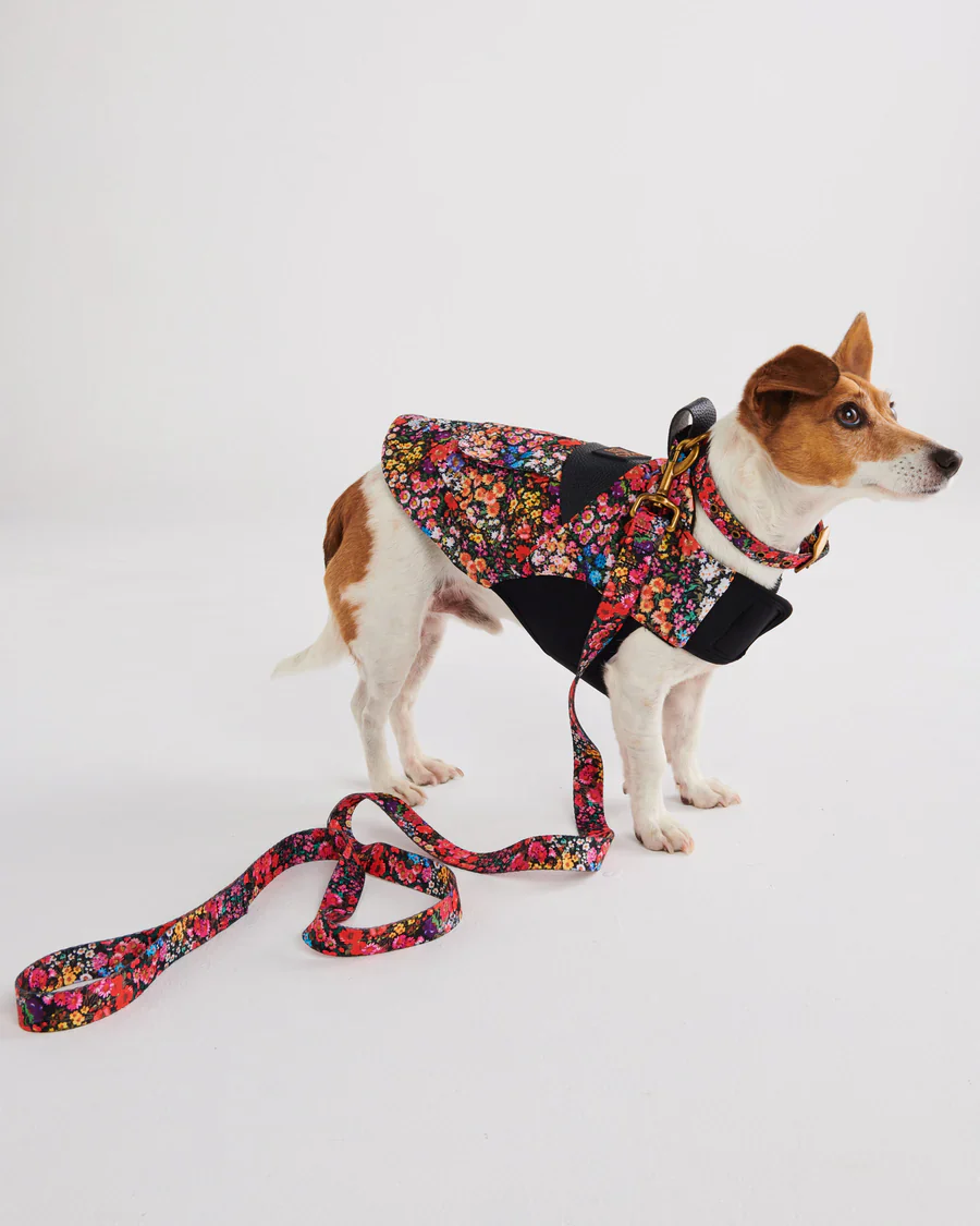 Kip & Co Dog Lead - Image 7