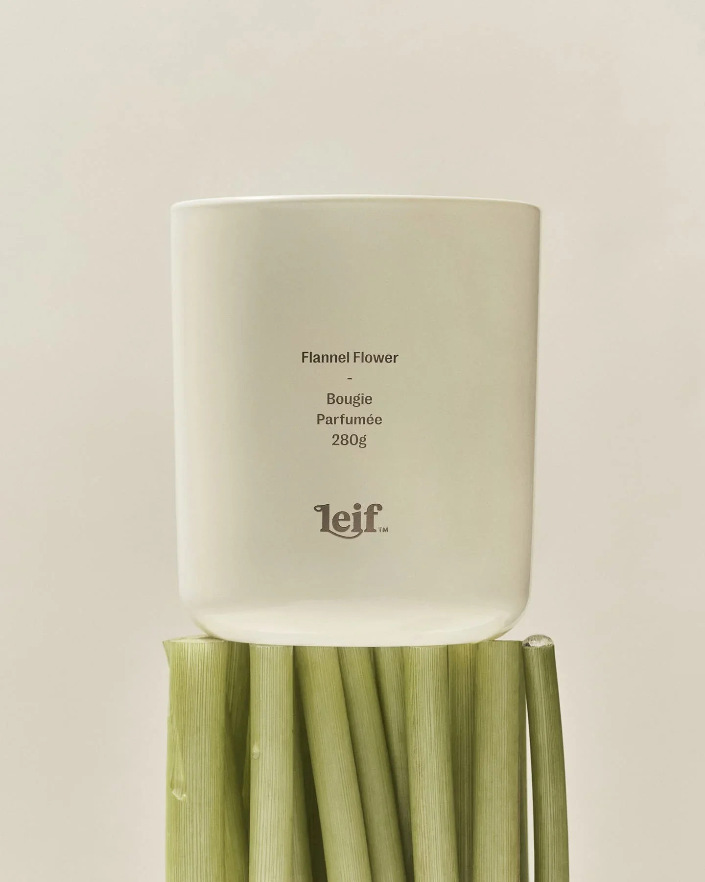 Leif Candle - Image 25