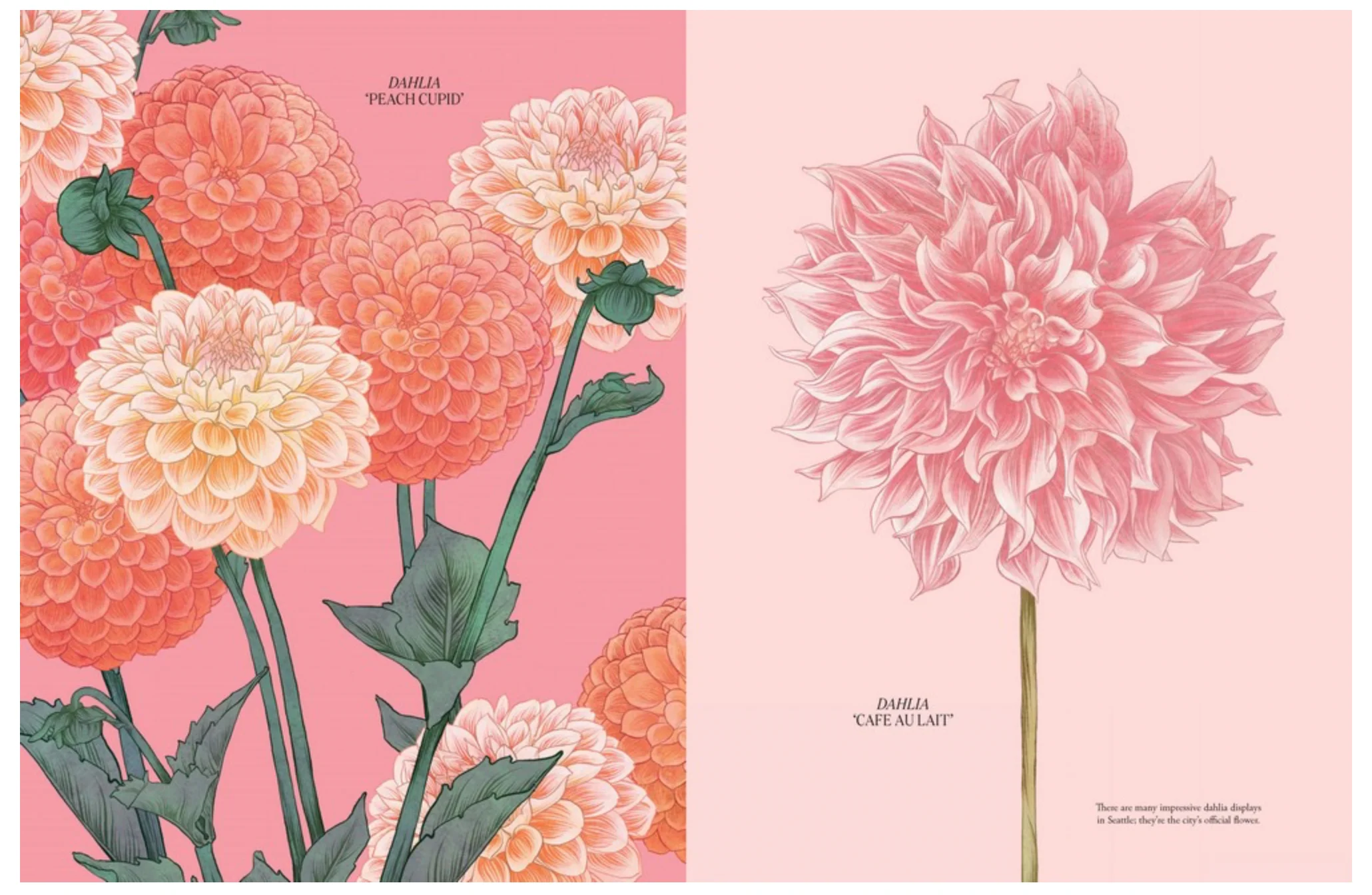 Petal By Adriana Picker - Image 5