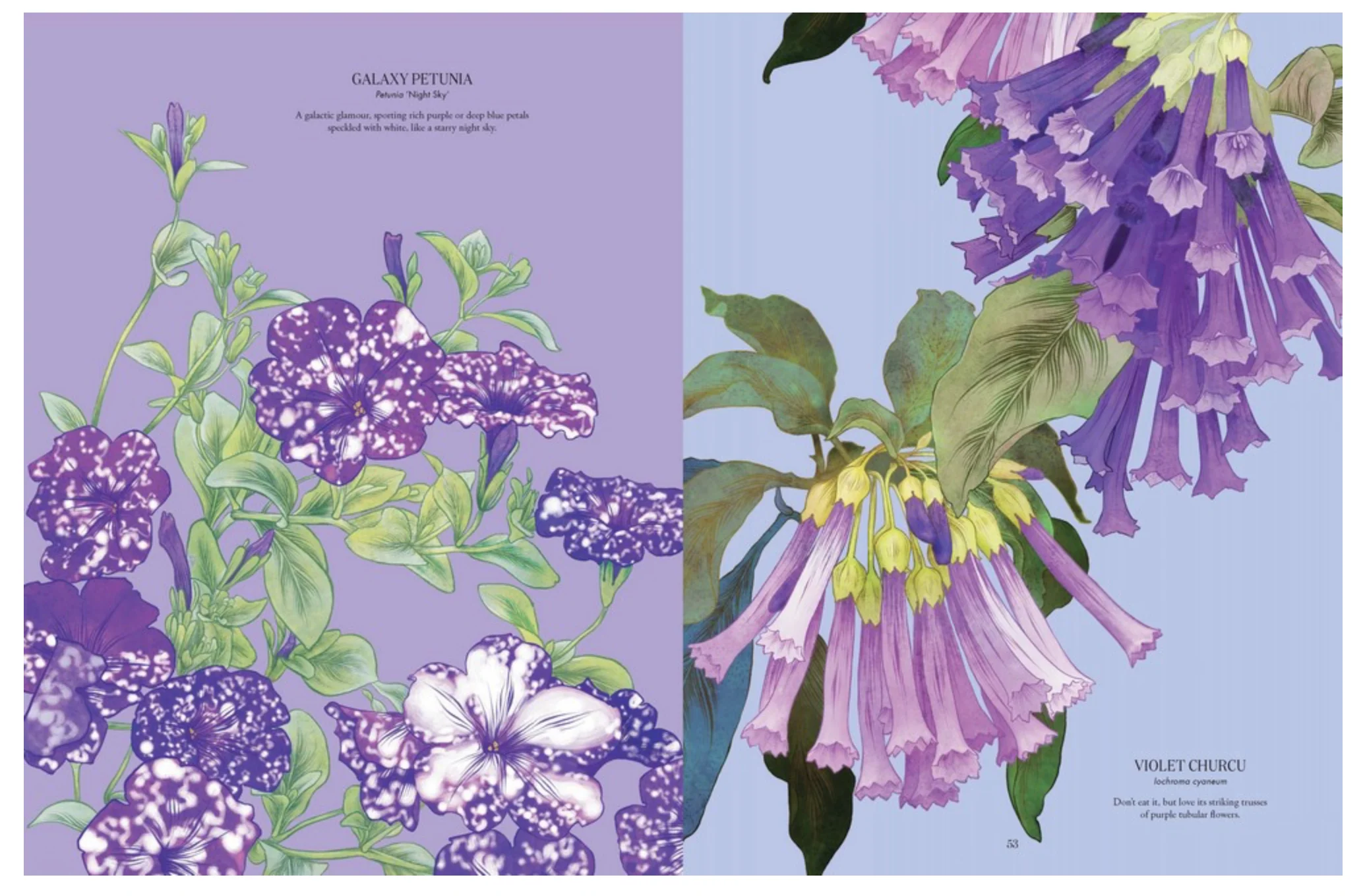Petal By Adriana Picker - Image 6