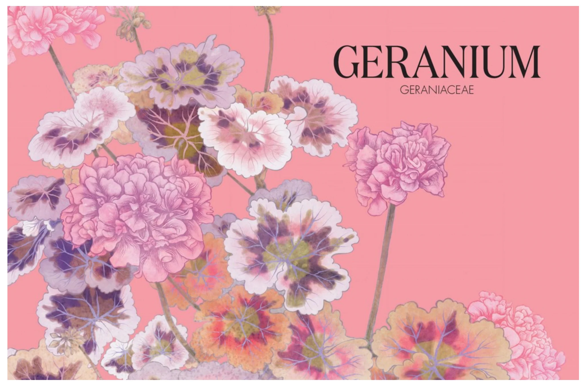 Petal By Adriana Picker - Image 7