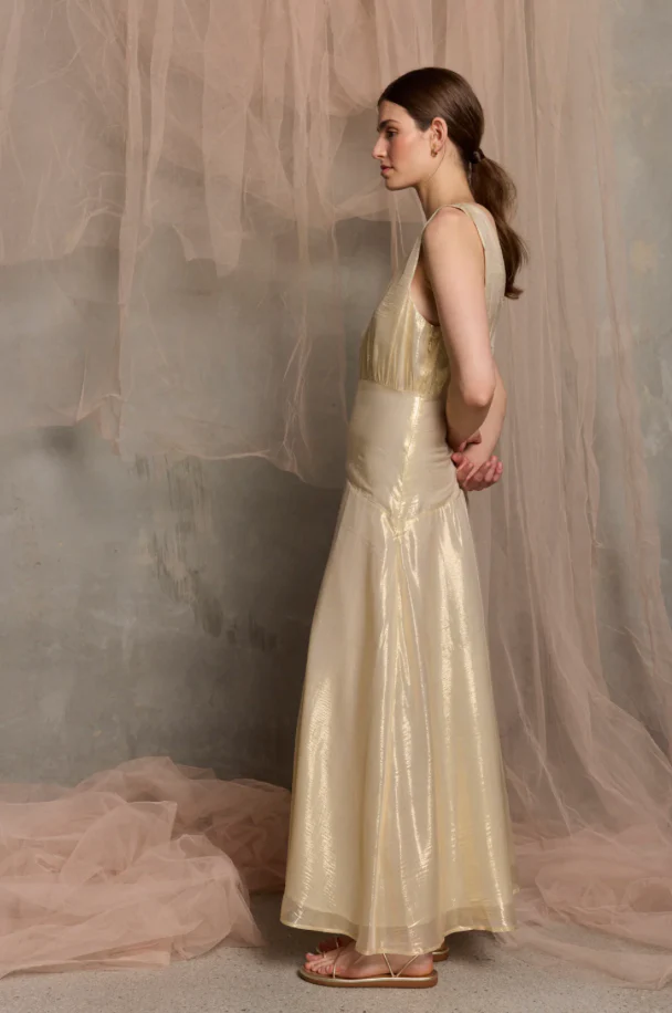 Viva Sleeveless Maxi dress WAS $800 - Image 3