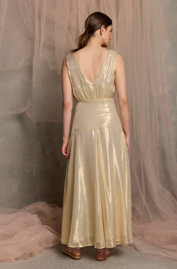 Viva Sleeveless Maxi dress WAS $800 - Image 4