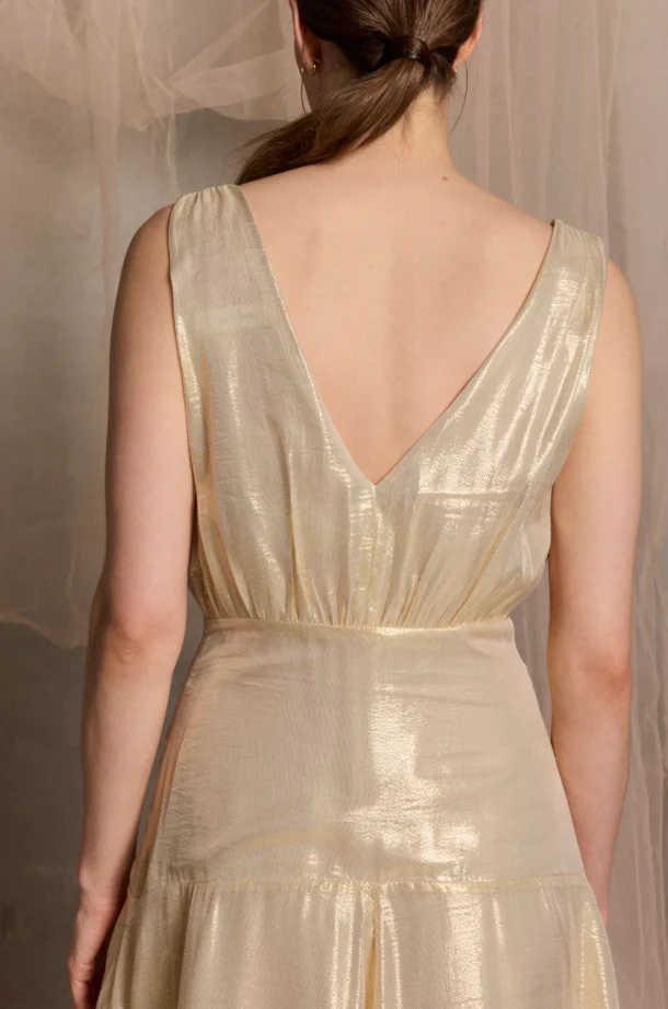 Viva Sleeveless Maxi dress WAS $800 - Image 7