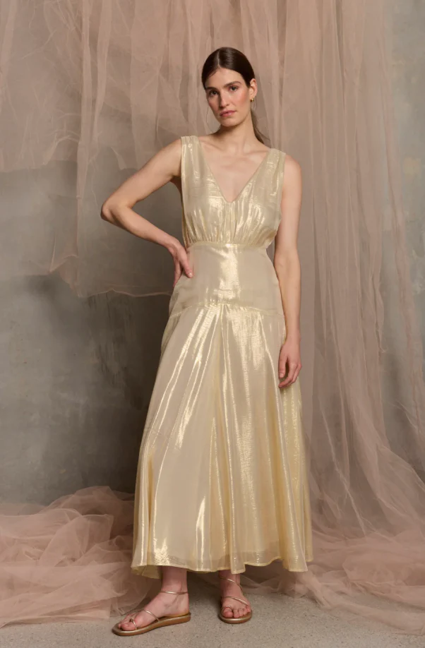 Viva Sleeveless Maxi dress WAS $800 - Image 8